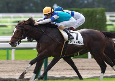 2020京都新聞杯【穴馬＆鉄板馬予想】 | うま吉の無料競馬予想 ...