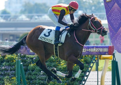イミグラントソング