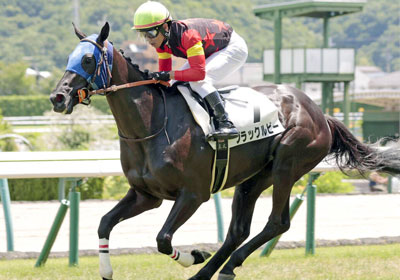 ブラックルビー