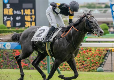 アスクカムオンモア