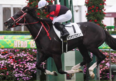 ホウオウプロサンゲ