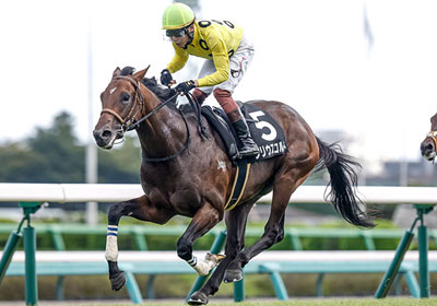 シリウスコルト