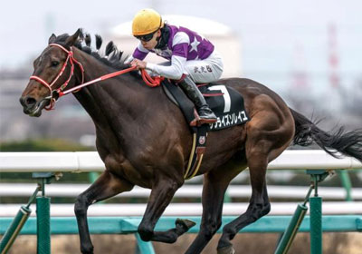 サンライズソレイユ