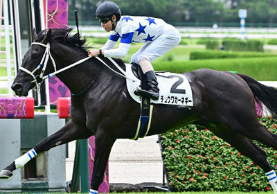 チュウワカーネギー