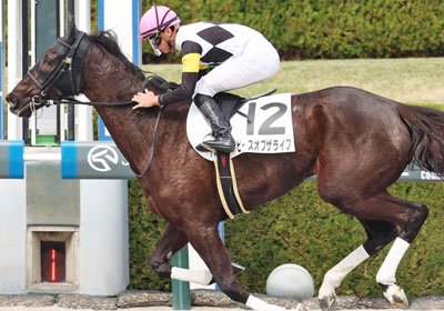 ピースオブザライフ