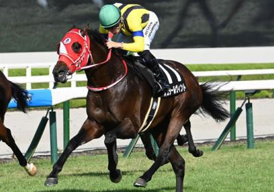 シュタールヴィント