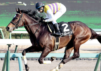 ニシノスーベニア