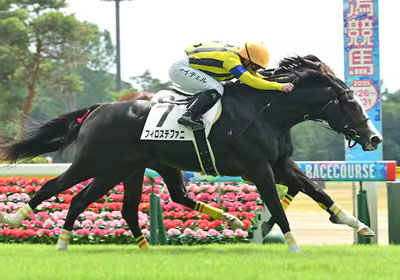 フィロステファニ