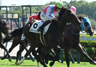 レディーゴール