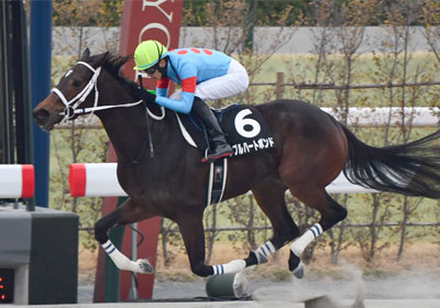 ダブルハートボンド