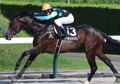 シゲルショウグン