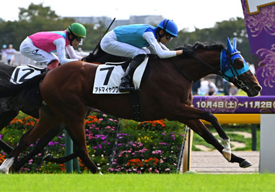 アドマイヤクワッズ