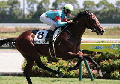 カヴァレリッツォ