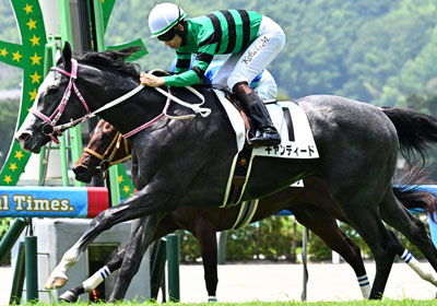 キャンディード