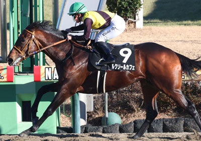 ルクソールカフェ