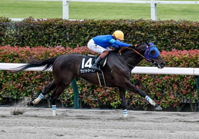 ウェットシーズン