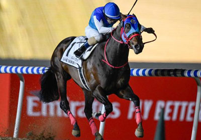 アドマイヤデイトナ