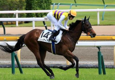 ニシノティアモ