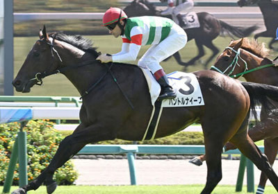 パントルナイーフ