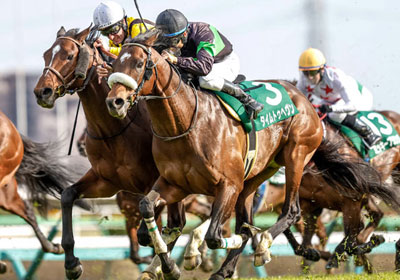 タイムトゥヘヴン