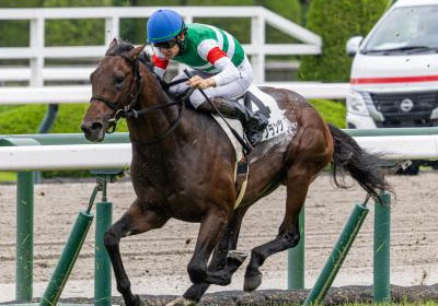 ローベルクランツ