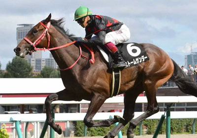 ストームサンダー