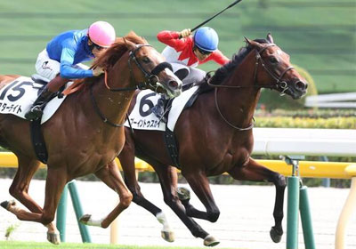 ゴーイントゥスカイ