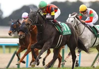 エイシンフェンサー