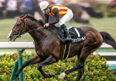 ブラックシールド