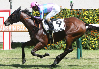 ナムラエイハブ