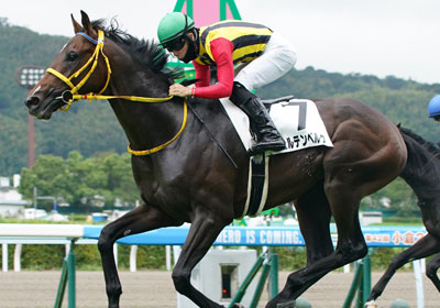 ヴェルテンベルク