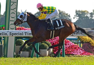 マーゴットラヴミー