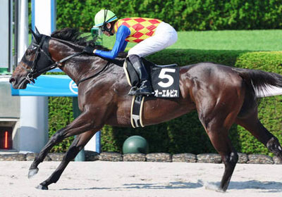 テーオーエルビス