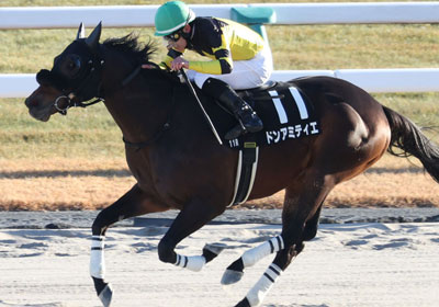 ドンアミティエ