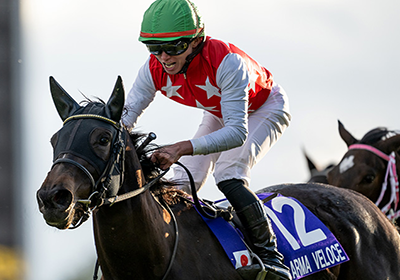 アルマベローチェ