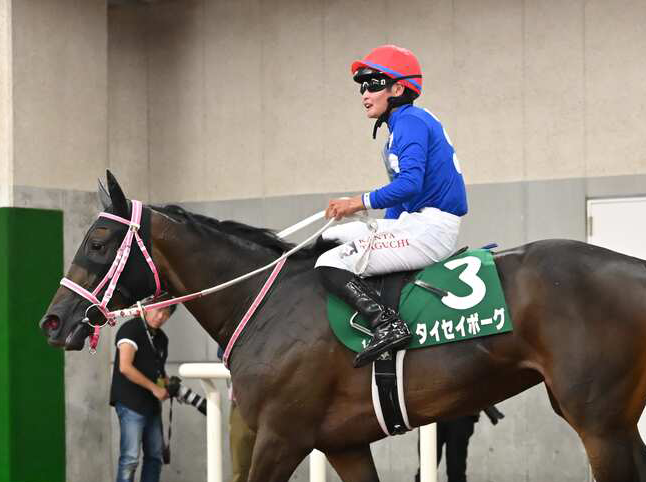 タイセイボーグ