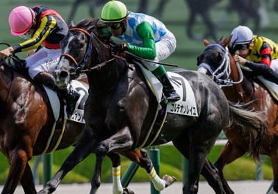 コルテオソレイユ