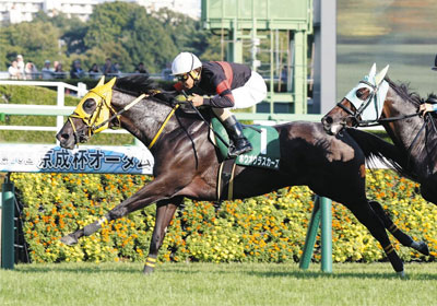 ホウオウラスカーズ