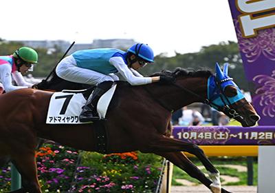 アドマイヤクワッズ