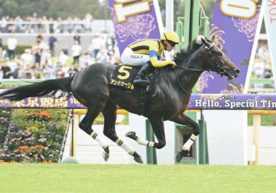 アンドゥーリル