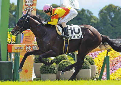 ジャスティンビスタ