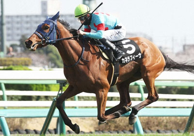 カネラフィーナ