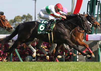 ヤンキーバローズ