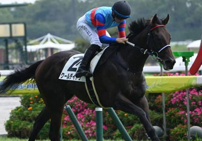 クールデイトナ