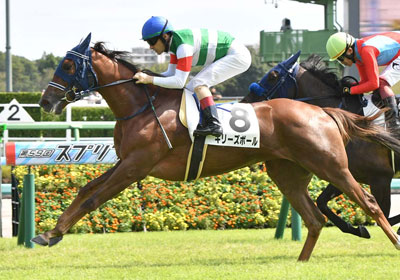 ギリーズボール