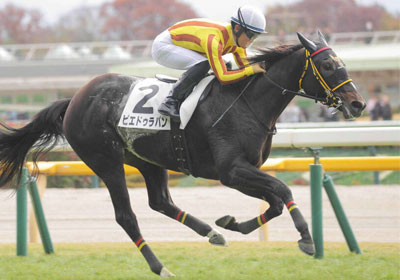 ピエドゥラパン