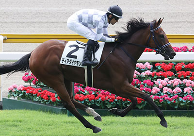 ディアダイヤモンド