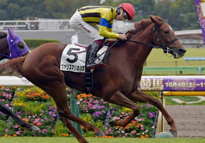 ヴァリスマリネリス