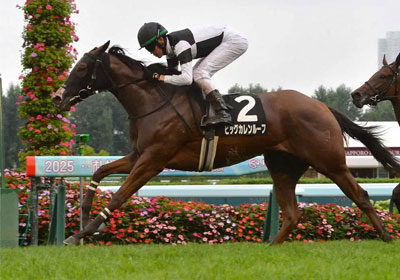 ビッグカレンルーフ