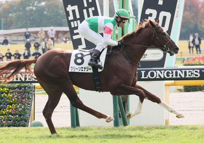 グリーンエナジー